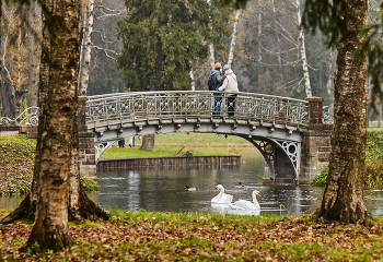 Селфи-мост, утки-лебеди... / осень, гатчинский парк