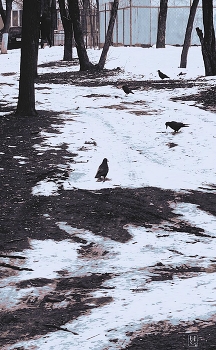 осталось недолго / ***