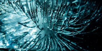 сам первый раз вижу / ***