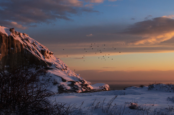 Белый снег и черные птицы / Белый снег на чистой странице,
Белый снег и чёрные птицы…
Птицы печали
Что-то кричали…