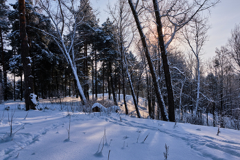 Зимний день 6 / ***