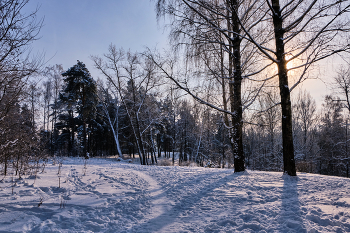 Зимний день 7 / ***