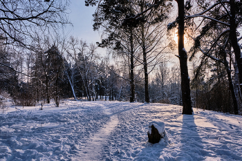 Зимний день 8 / ***