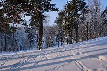 Зимний день 10 / ***