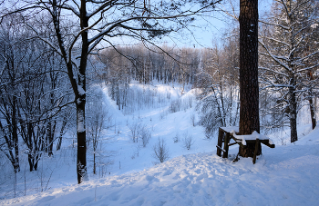 Зимний день 11 / ***