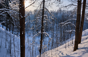 Зимний день 12 / ***