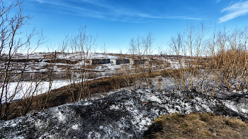 Жизнь вокруг / ***