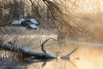 &nbsp; / Беларусь, Верхнедвинский район, январь 2026 года.