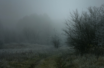 Туманное утро / Осень