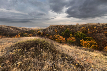 Осень в балке Саромка / ***