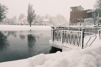 Падал прошлогодний снег / Калининград, озеро Поплавок, 2024 год