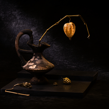 Этюд с физалисом VII / или праздник прошел...