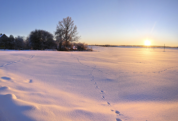 Следы / Возле Минска