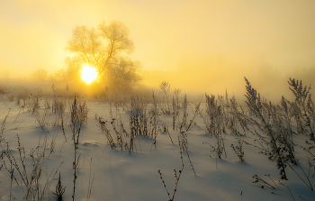 Выходило солнце сквозь туман / Зимние рассветы