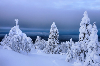 панорама / снежный склон