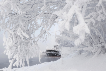 В ожидании весны / ***