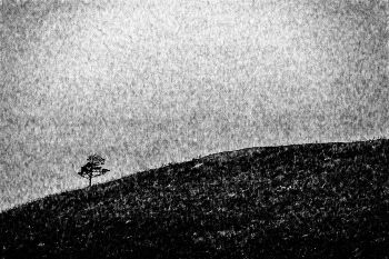 Жизнь вокруг / ***