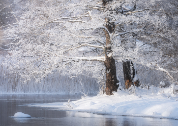 &nbsp; / Беларусь, Верхнедвинский район, январь 2026 года.