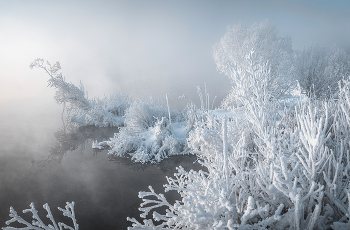 В гостях у деда мороза. / морозное утро