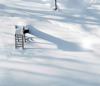 &nbsp; / зимний день, контуры и тени