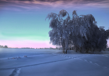 Лыжня / Возле Минска.