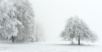 Зима,снег, туман / ***