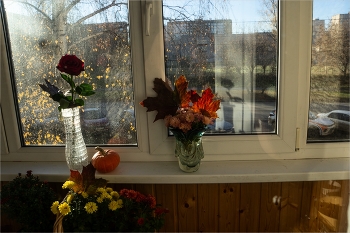 Ох уж эти натюрмортики! / Ох уж эти натюрмордники!