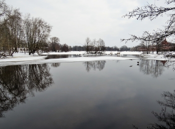 &nbsp; / Сестрорецк