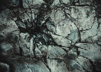 гнездо / No comments.