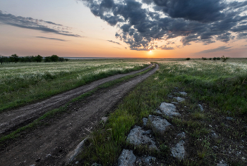 Камни у дороги / ***