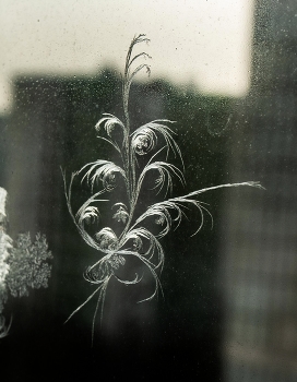 зимие узоры / ***