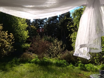 Окно в лето / ***