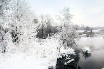 Морозное утро / Сюжеты зимы