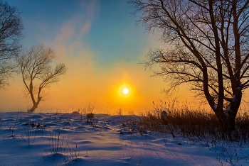 Морозный день. / ***