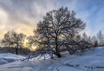 Графика зимы / Графика зимы