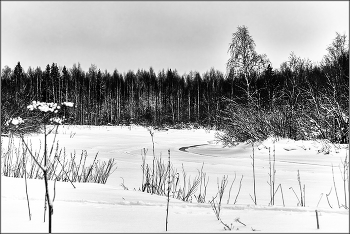 Февральский сумрачный денёк. / В окрестностях Архангельска.