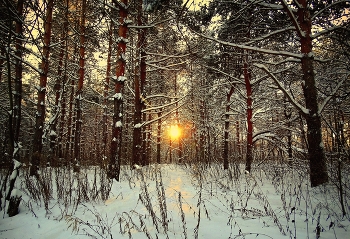 Зимнее солнце клонилось к закату / Зимнее солнце клонилось к закату