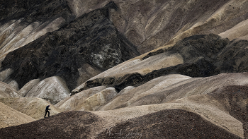 В поисках кадра / Калифорния