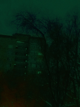 финский вечер / ***