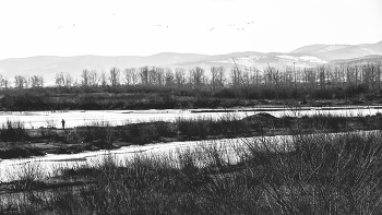 Пейзажизнь / ***