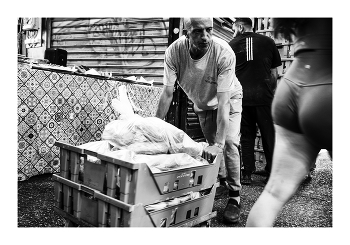 Основной инстинкт / ***