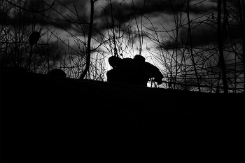 Жизнь вокруг / ***