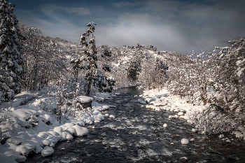 Mtirala February / Февральский снег в национальном парке Мтирала
