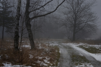 Туманное утро / Оттепель