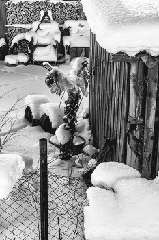 Жизнь вокруг / ***