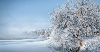 Зимние зарисовки. / морозное утро