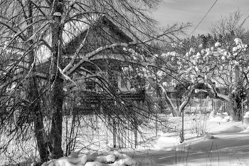 Пейзажизнь / ***