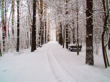 После снегопада / ***