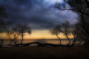 Маркизова лужа 13 / ...