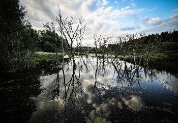 Белорусия / свет